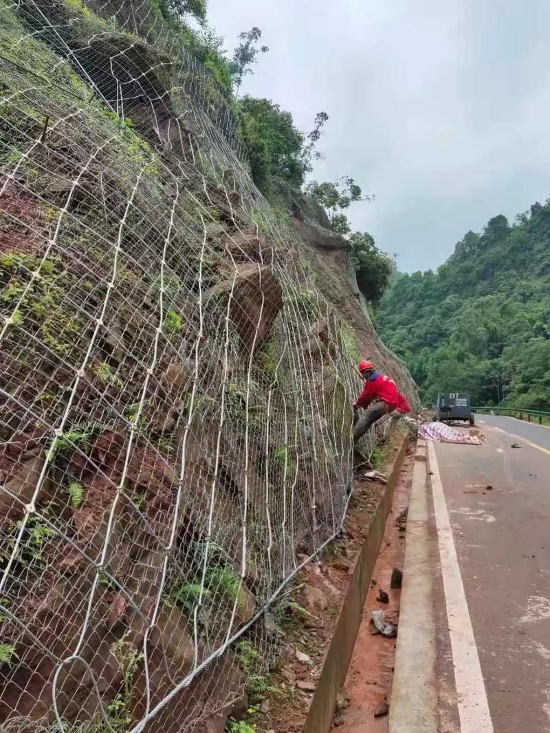 荷泽定陶县边坡绿化防护